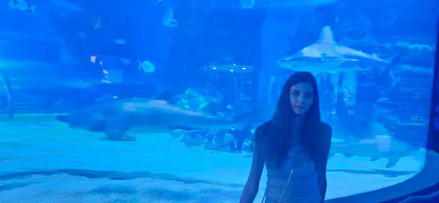 Tropicarium-Oceanarium Kft.