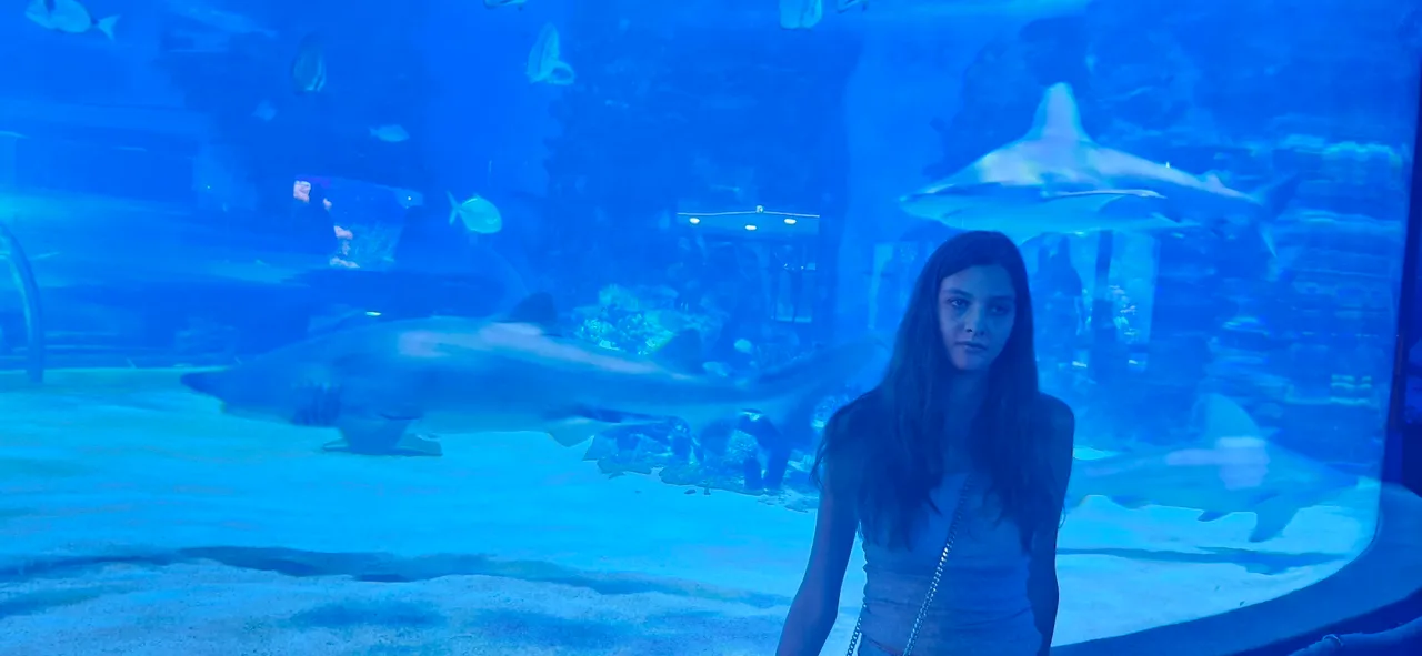 Tropicarium-Oceanarium Kft.
