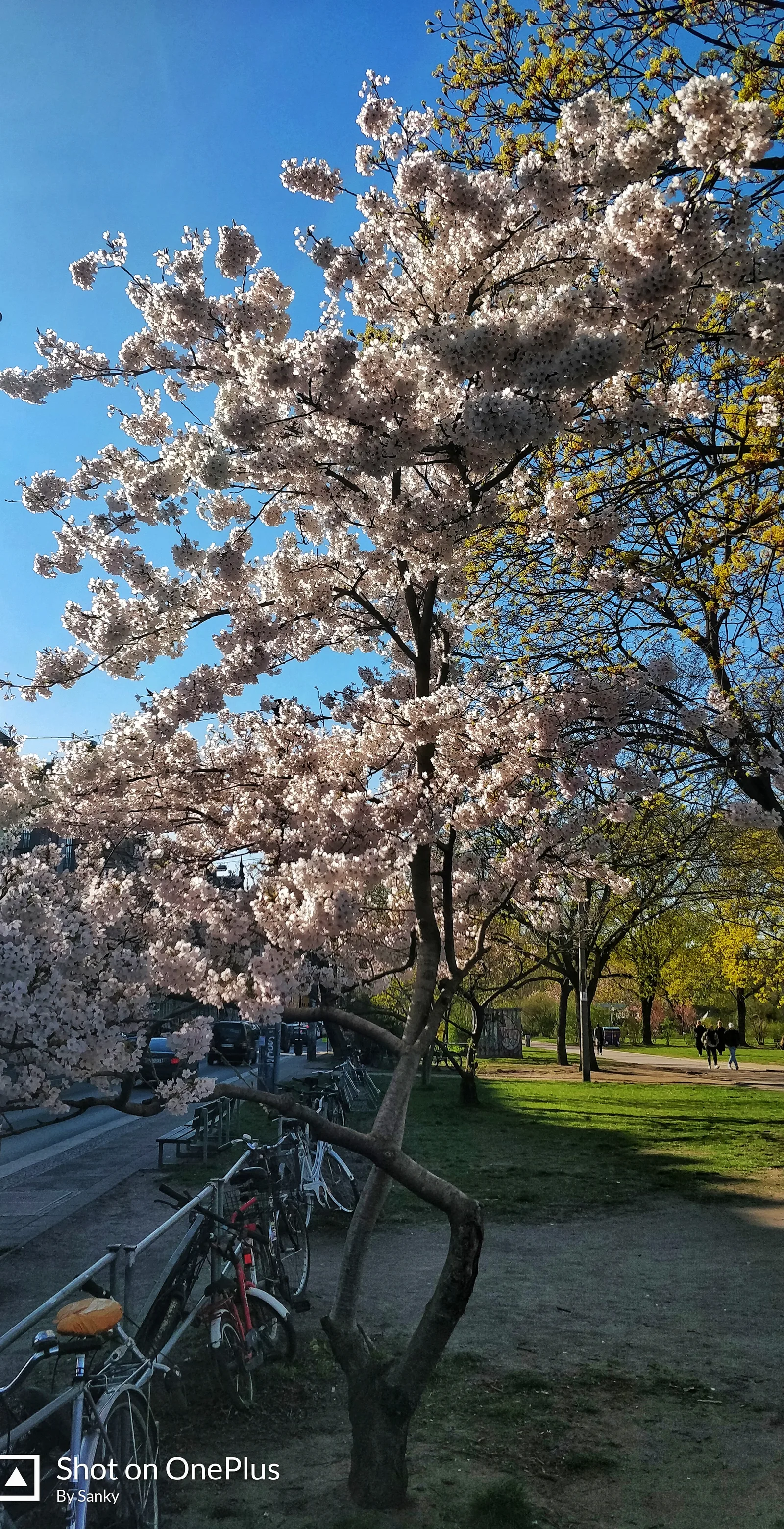 Details at Alaunpark Dresden — travel photo