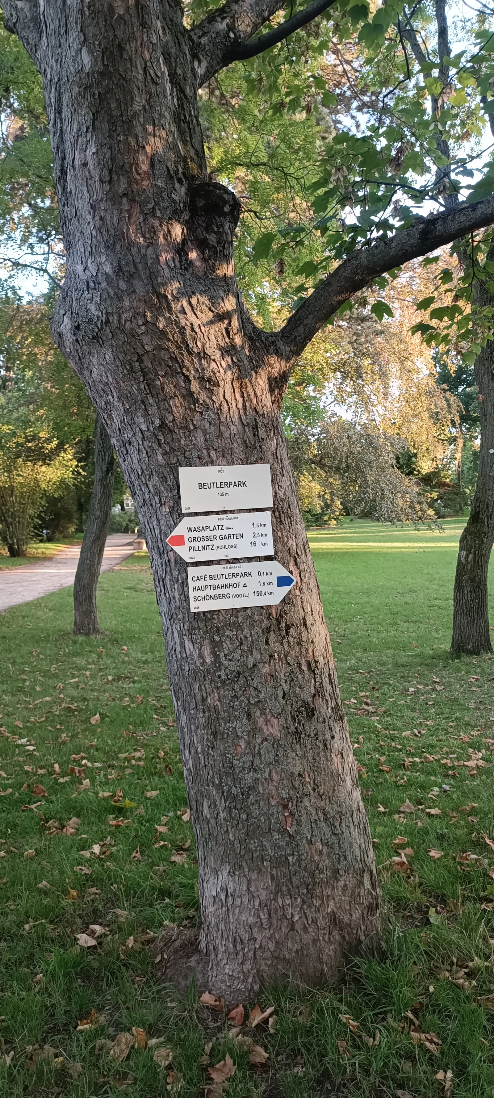 Main view at Beutler Park Dresden — travel photo
