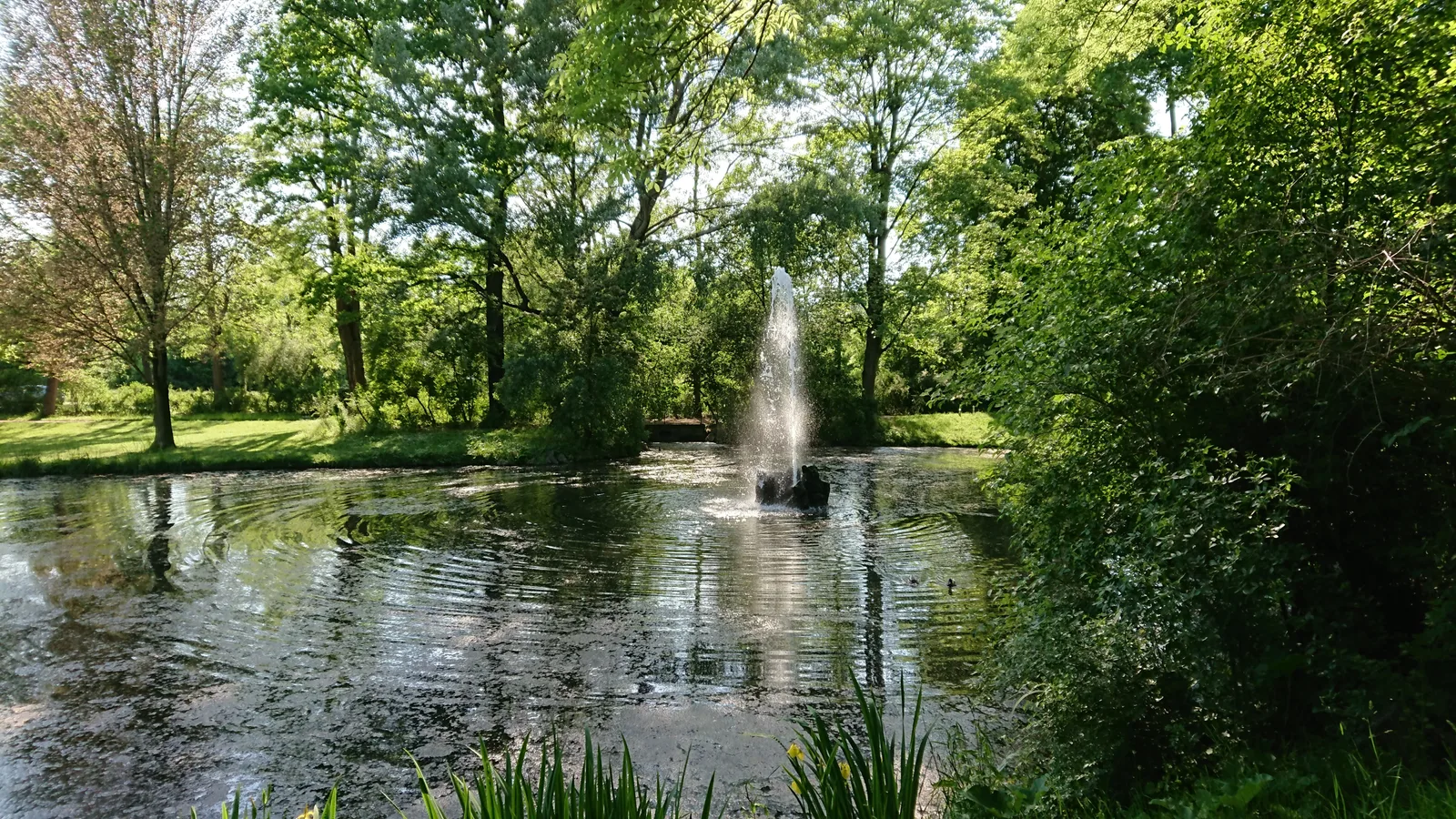 Interior at Blüherpark Dresden — travel photo