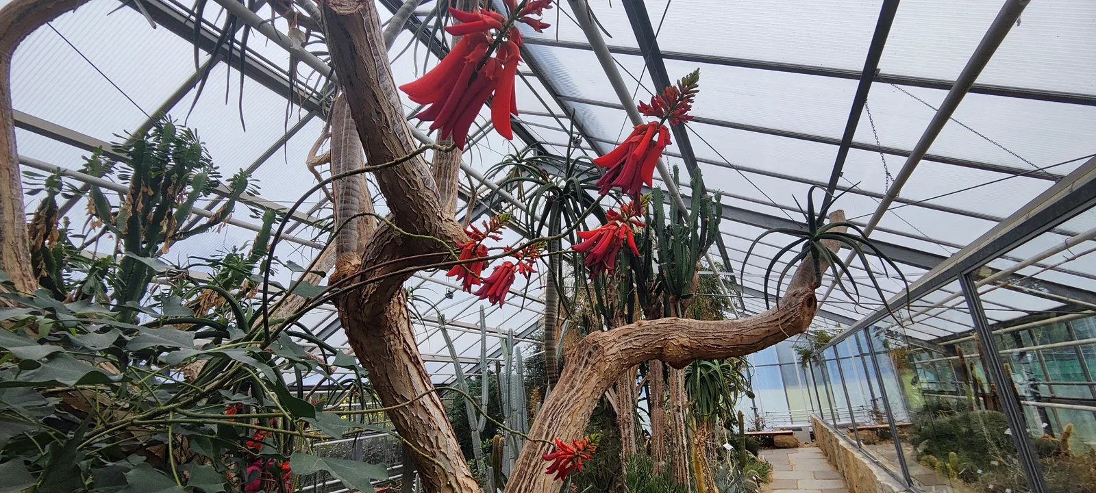 Interior at BOT Botanical Garden Dresden — travel photo