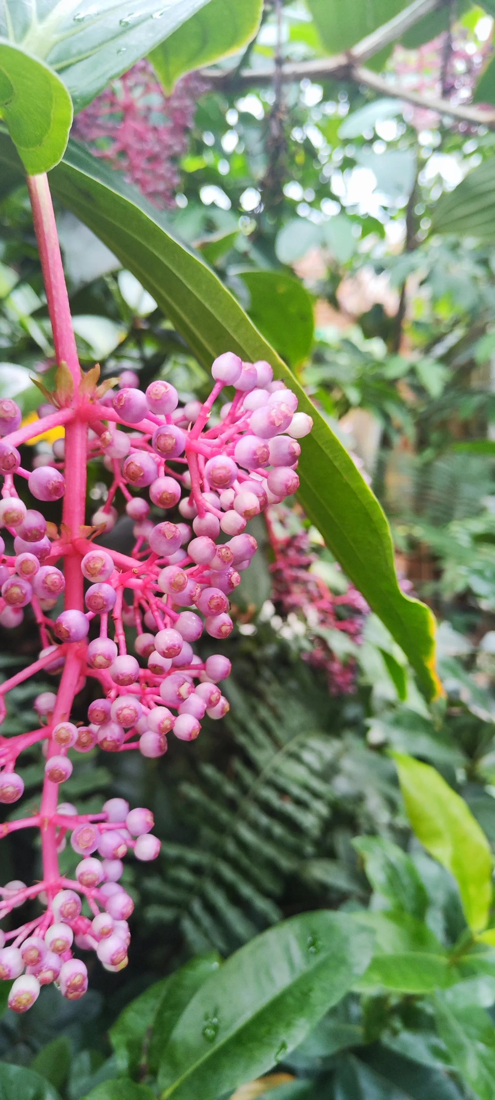 Details at BOT Botanical Garden Dresden — travel photo
