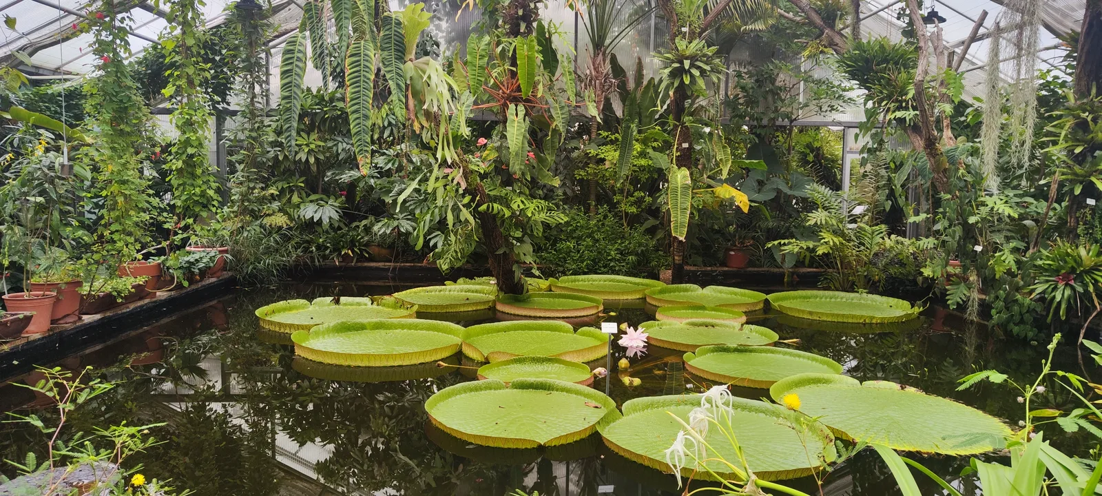 Atmosphere at BOT Botanical Garden Dresden — travel photo