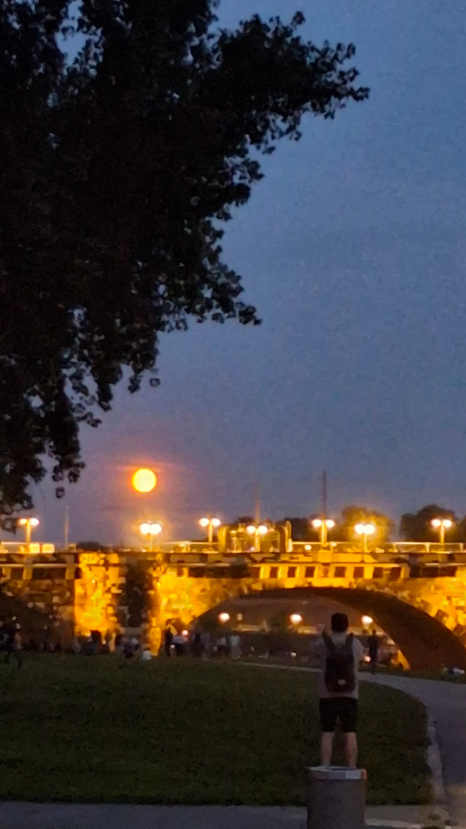 Atmosphere at Canaletto-Blick Dresden — travel photo