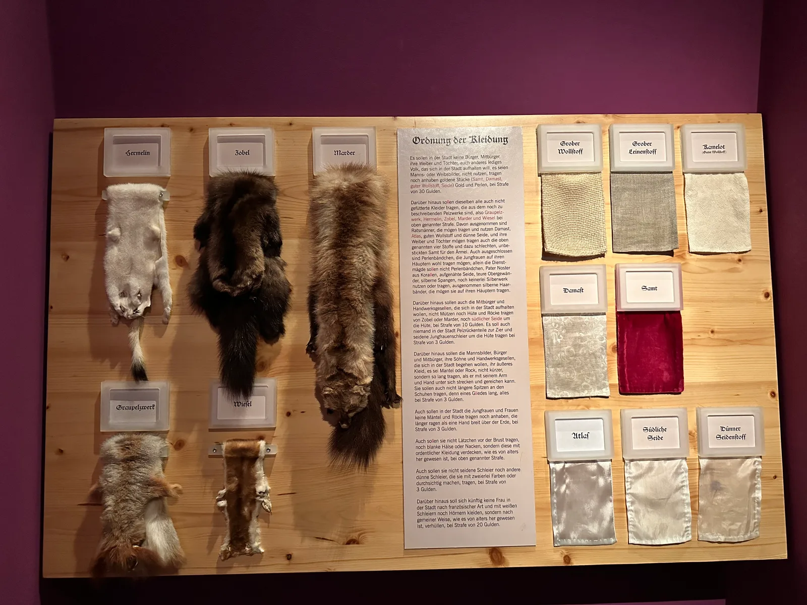 Interior at Dresden City Museum Dresden — travel photo