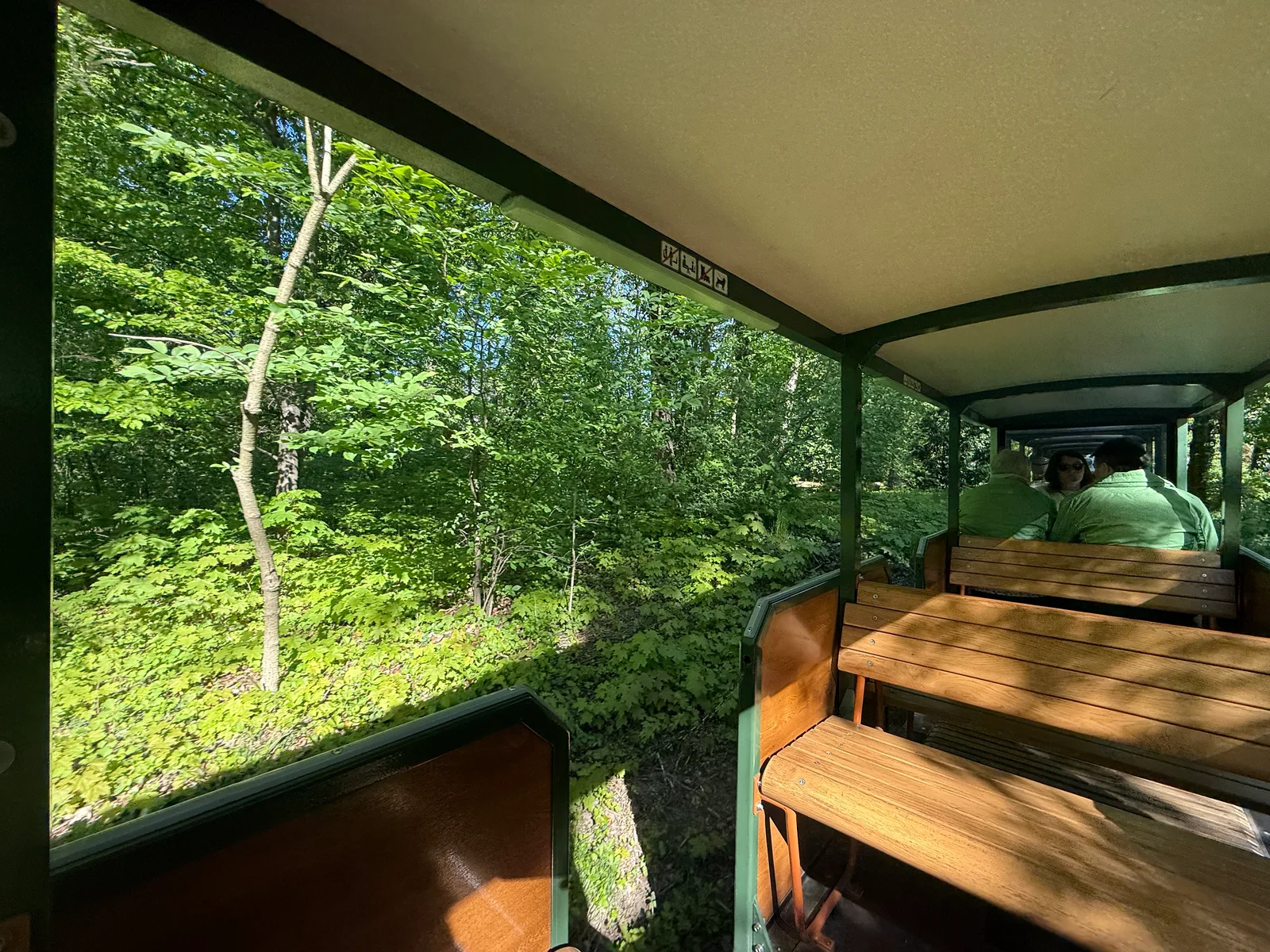 Atmosphere at Dresden Park Railway Dresden — travel photo