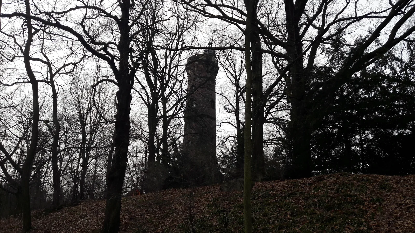 Main view at Fichteturm Dresden — travel photo