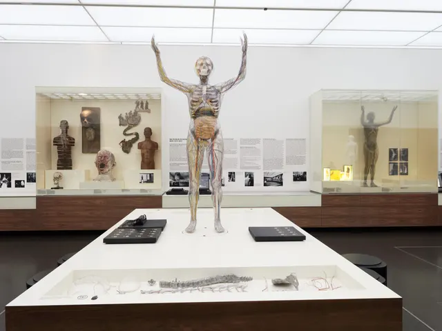 German Hygiene Museum — contemporary museum in Dresden