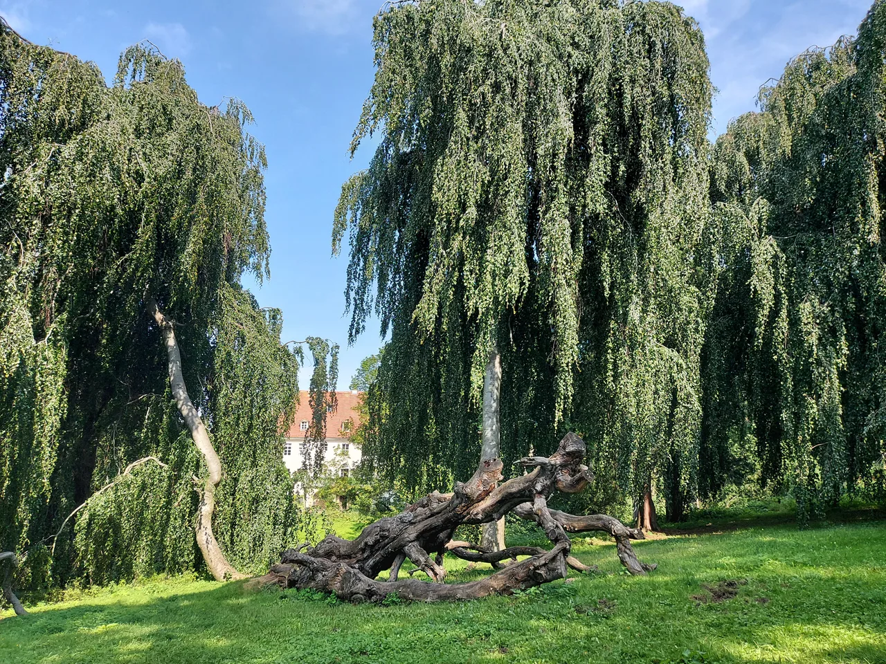 Helfenberger Park — romantic guide Dresden