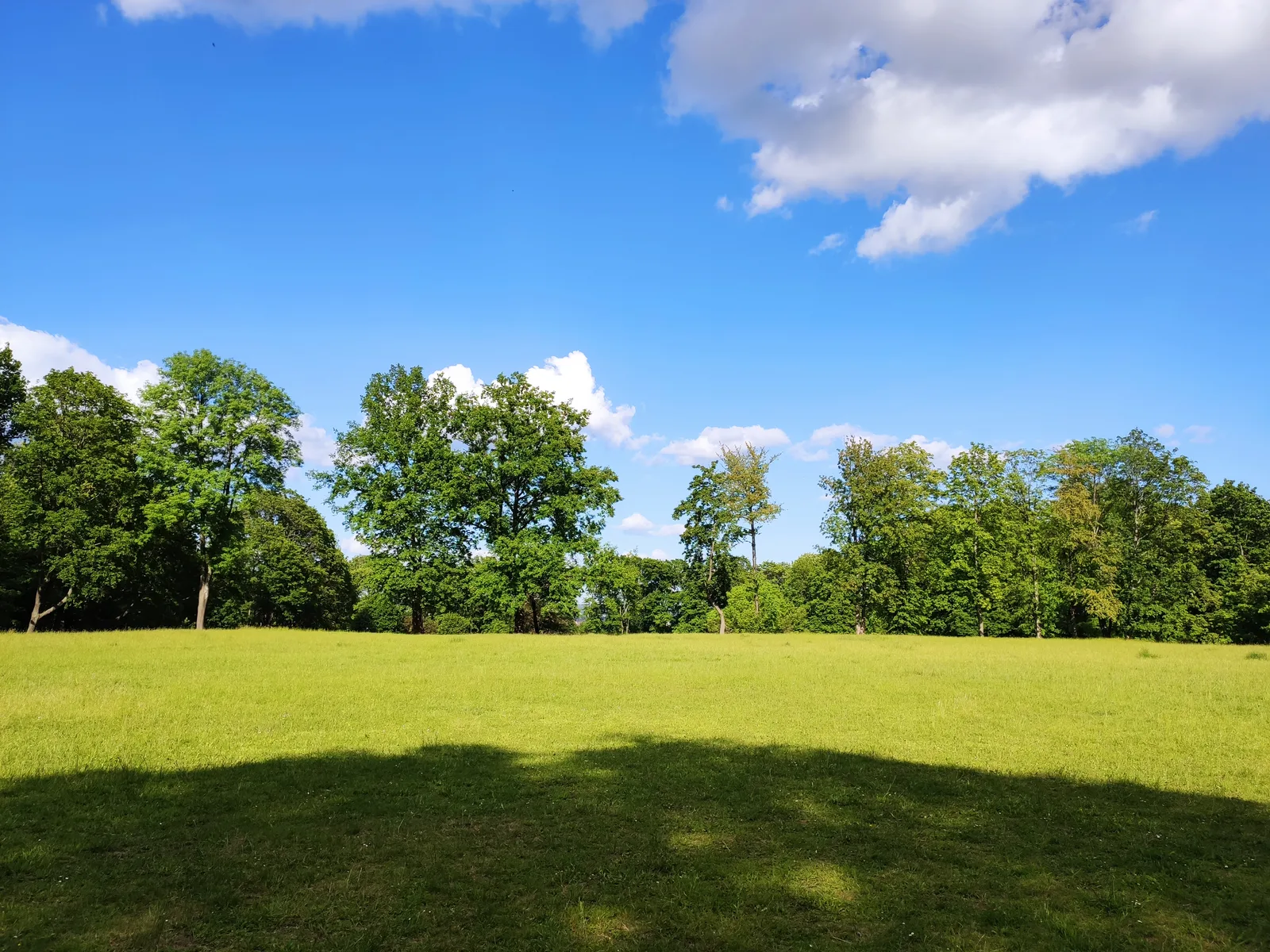 Main view at Leutewitzer Volks Park Dresden — travel photo