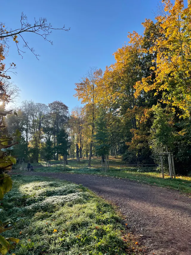Leutewitzer Volks Park