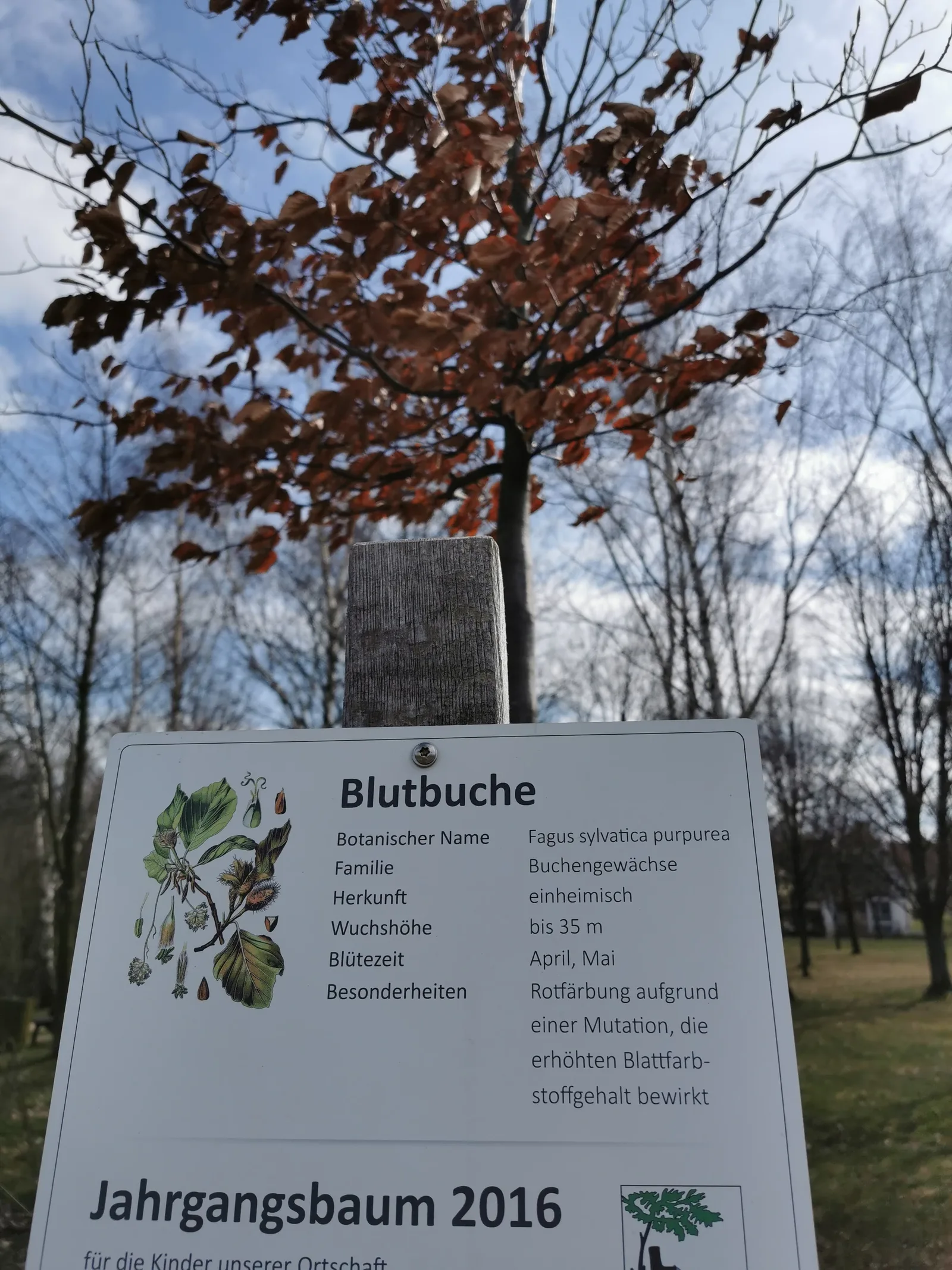 Atmosphere at Pennricher Park Dresden — travel photo