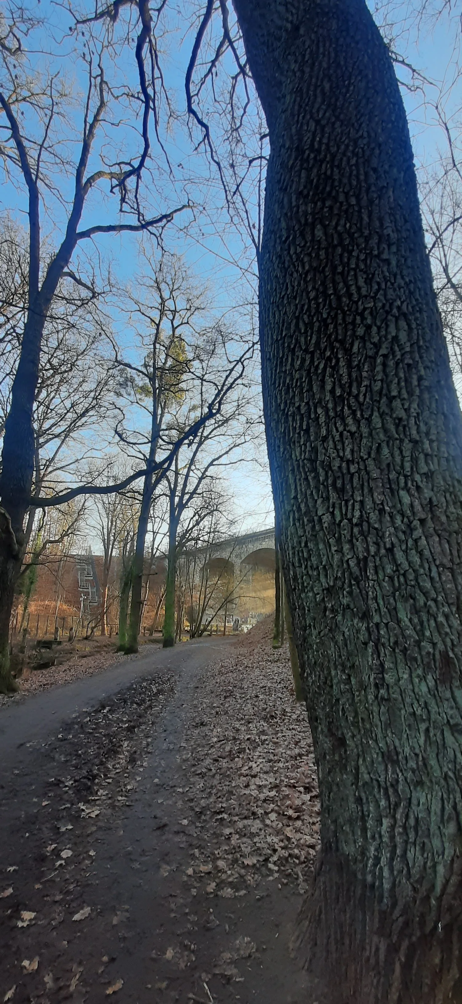 Main view at Skulpturen Park Dresden — travel photo