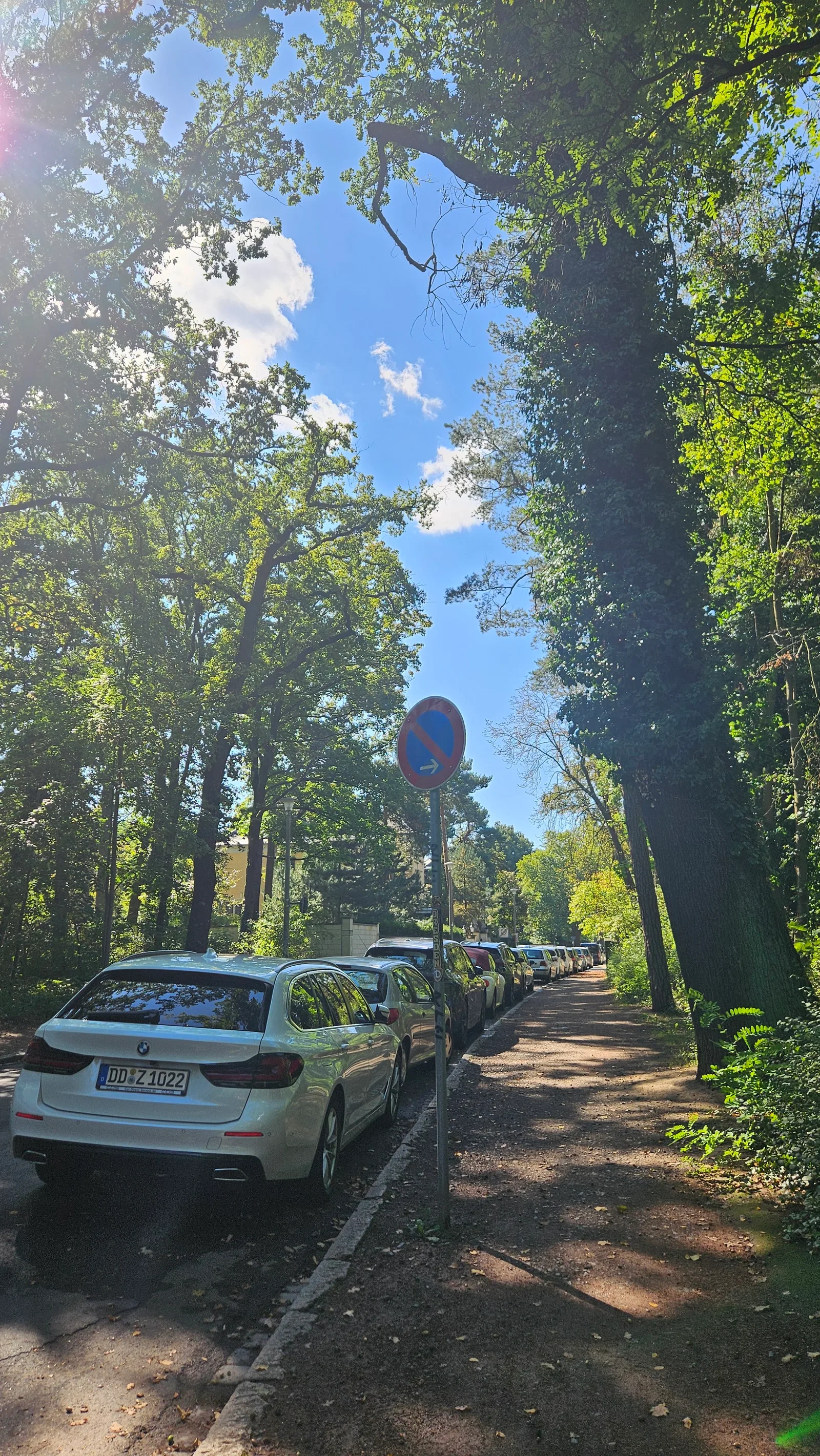 Details at Waldpark Blasewitz Dresden — travel photo