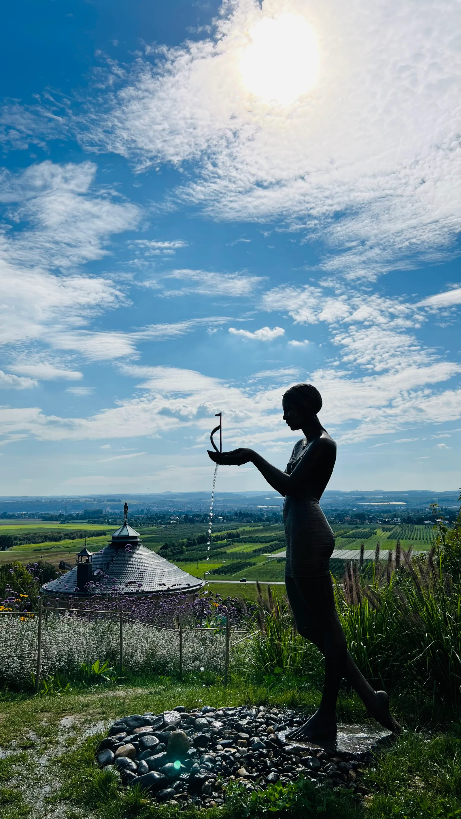 Details at Weingut Klaus Zimmerling Dresden — travel photo