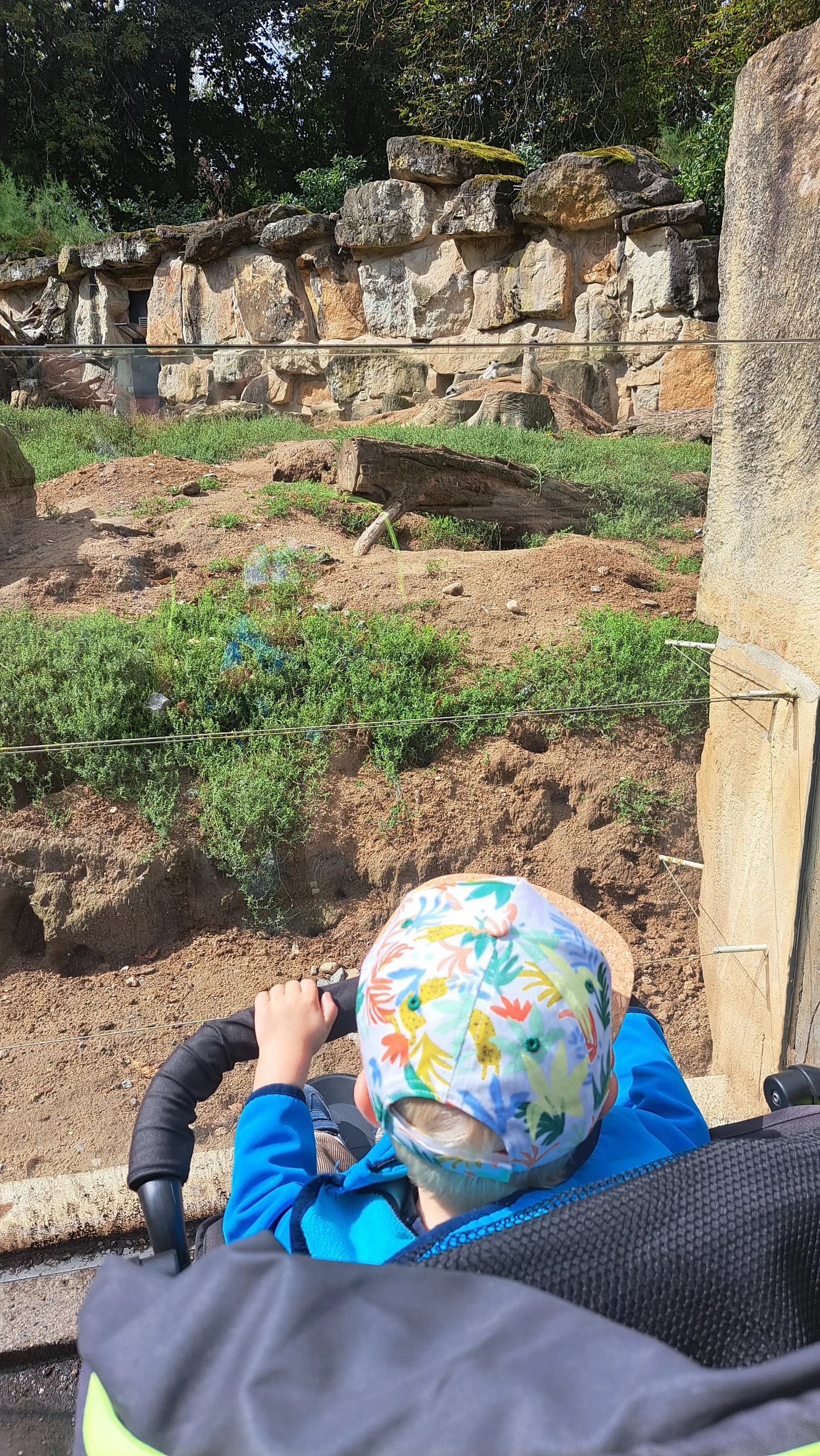 Main view at Zoo Dresden Dresden — travel photo