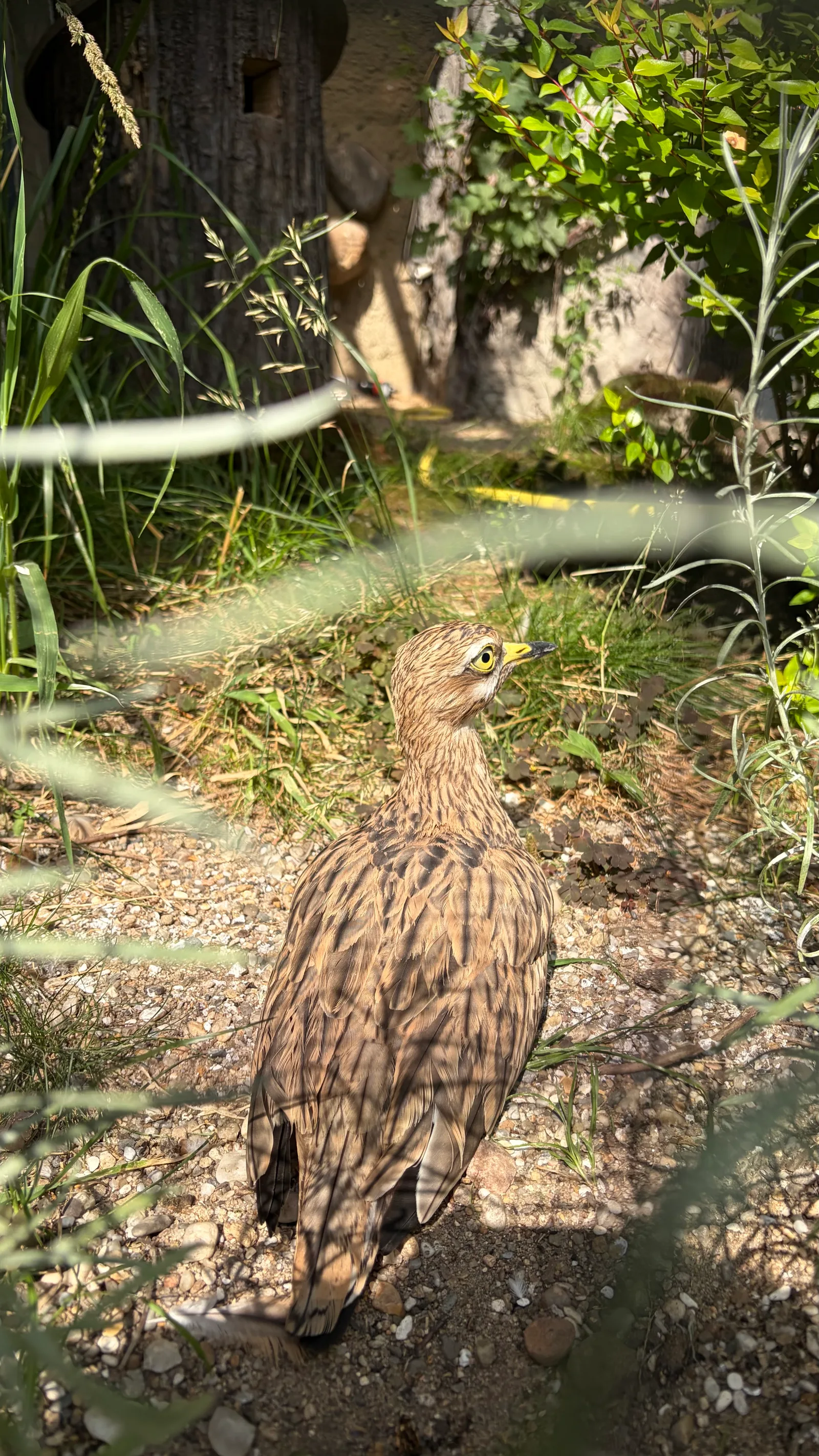 Atmosphere at Zoo Dresden Dresden — travel photo