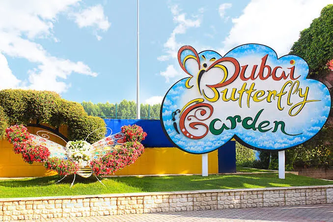 Main view at Dubai Butterfly Garden Dubai — travel photo