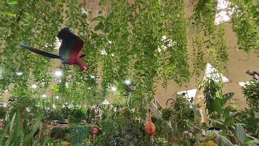 Atmosphere at Dubai Butterfly Garden Dubai — travel photo