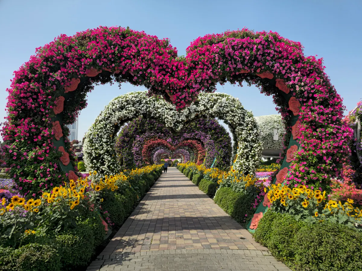 Main view at Dubai Miracle Garden Dubai — travel photo