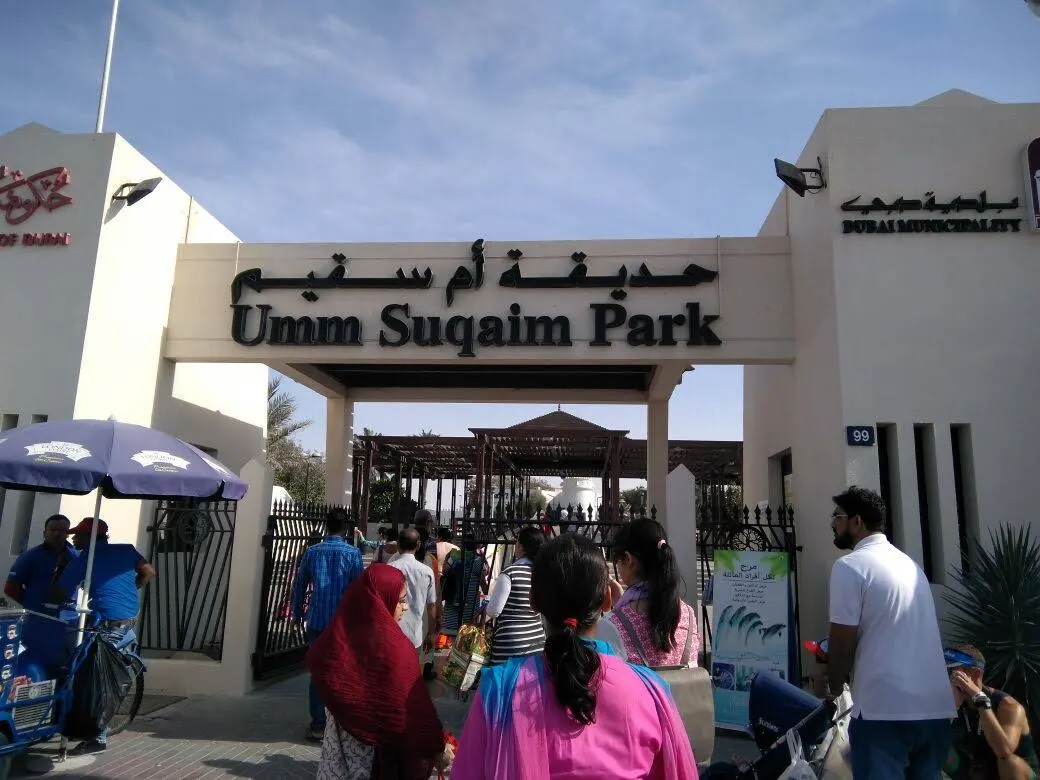 Main view at Umm Suqeim Park Dubai — travel photo