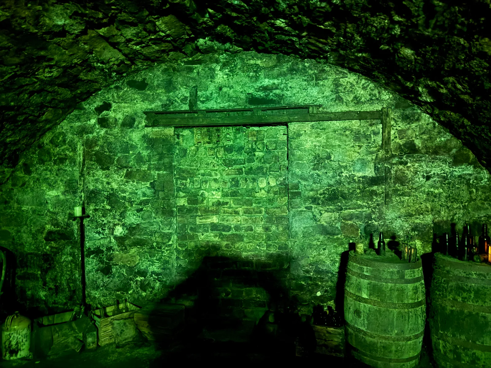 Main view at Auld Reekie Tours Edinburgh — travel photo