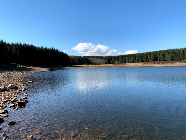 Atmosphere at Bonaly Country Park Edinburgh — travel photo