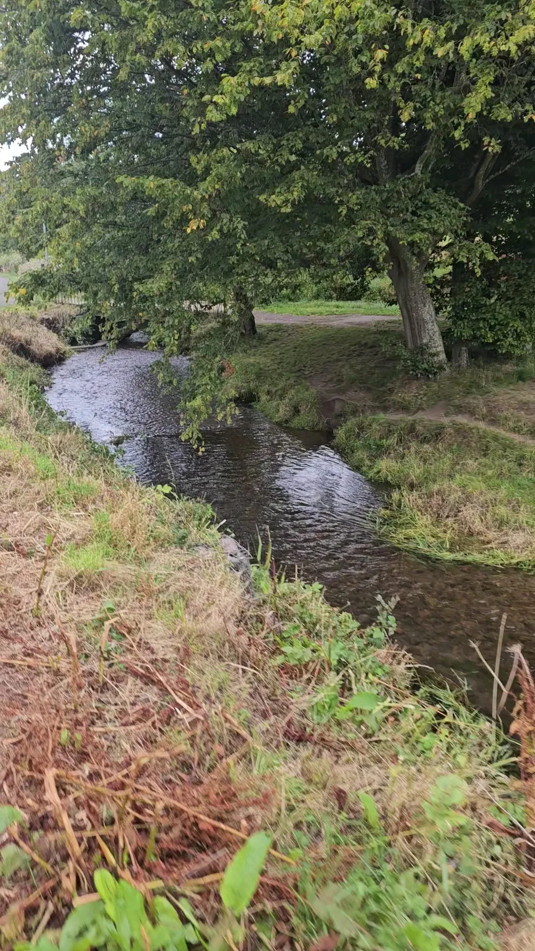 Main view at Braidburn Valley Park Edinburgh — travel photo