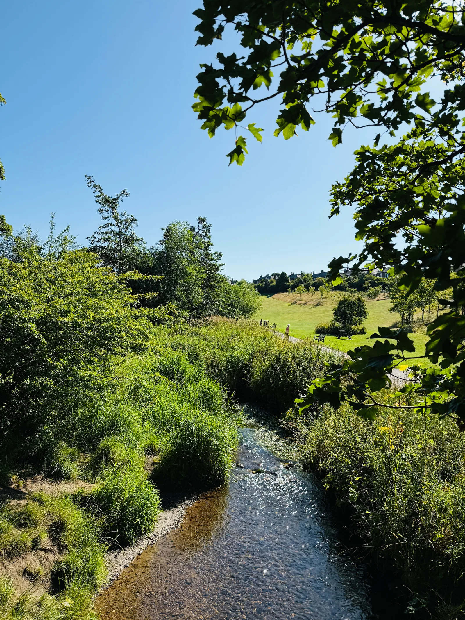 Details at Braidburn Valley Park Edinburgh — travel photo