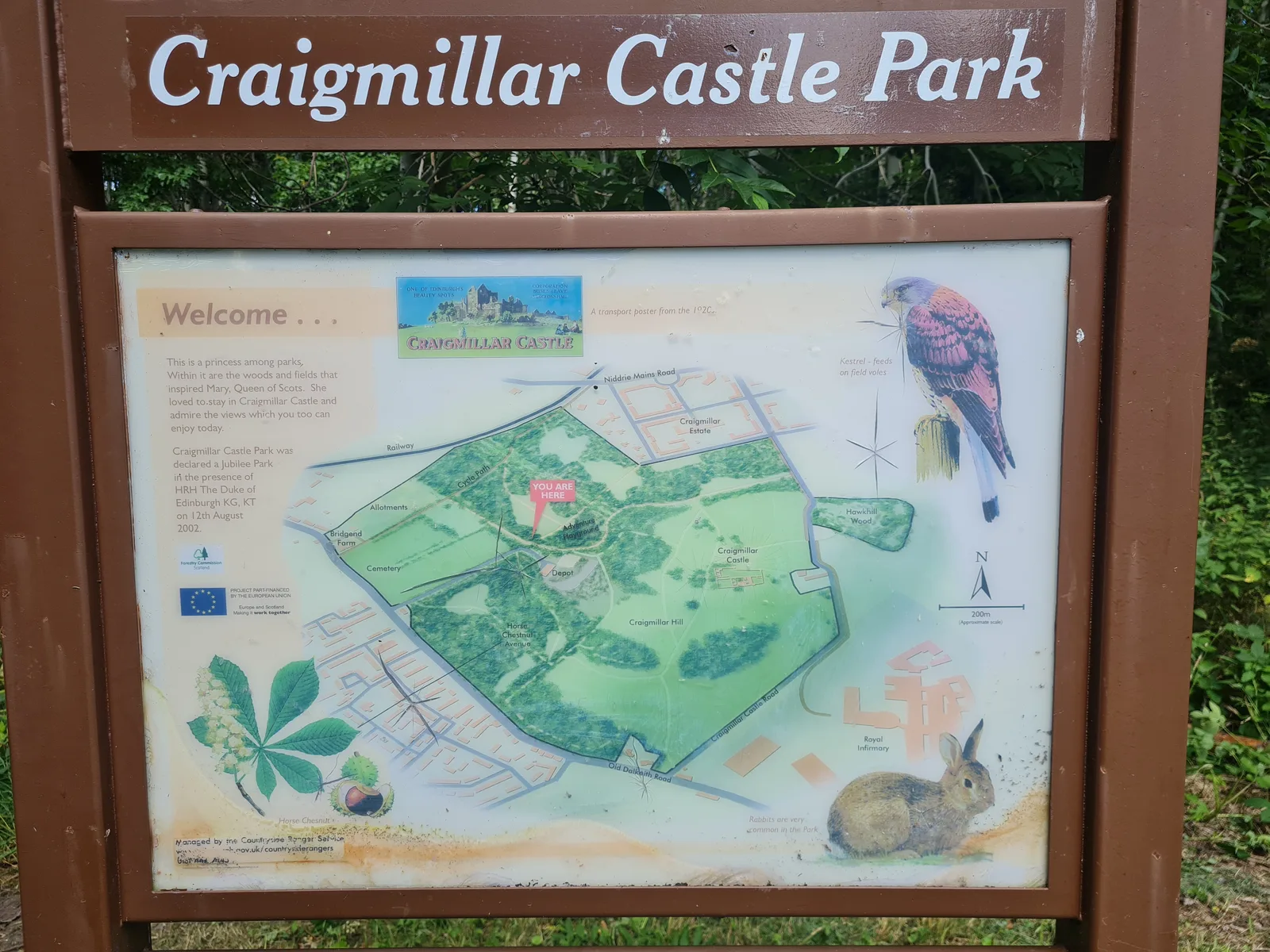 Main view at Craigmillar Castle Park Edinburgh — travel photo