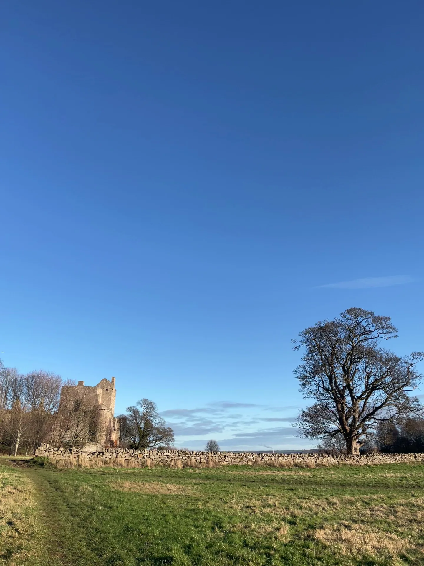 Details at Craigmillar Castle Park Edinburgh — travel photo