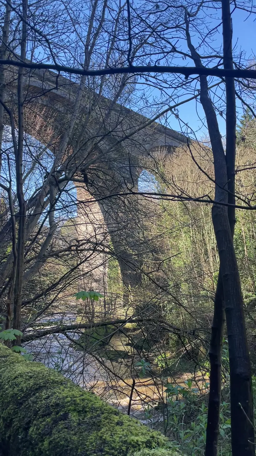 Interior at Dean Bridge Edinburgh — travel photo