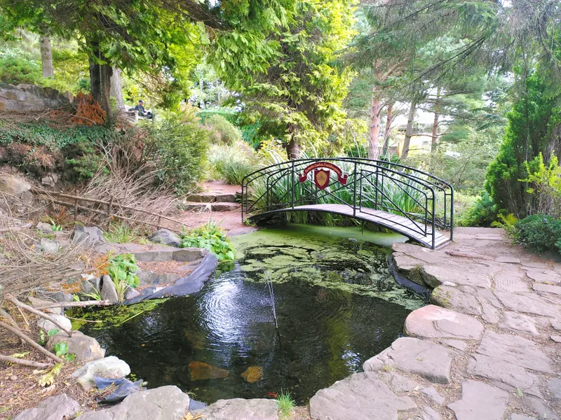Dr Neil's Garden