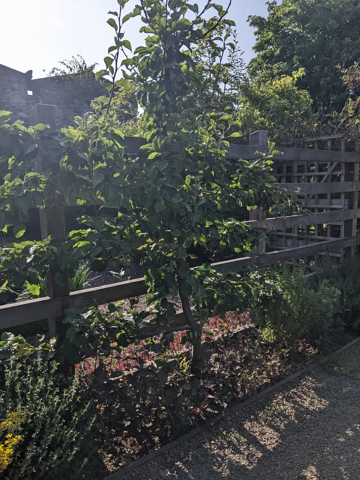Dunbars Close — romantic guide Edinburgh
