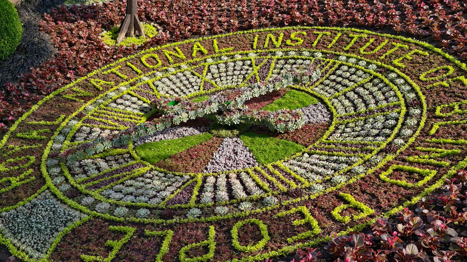 Details at Edinburgh Castle Viewing Point Edinburgh — travel photo