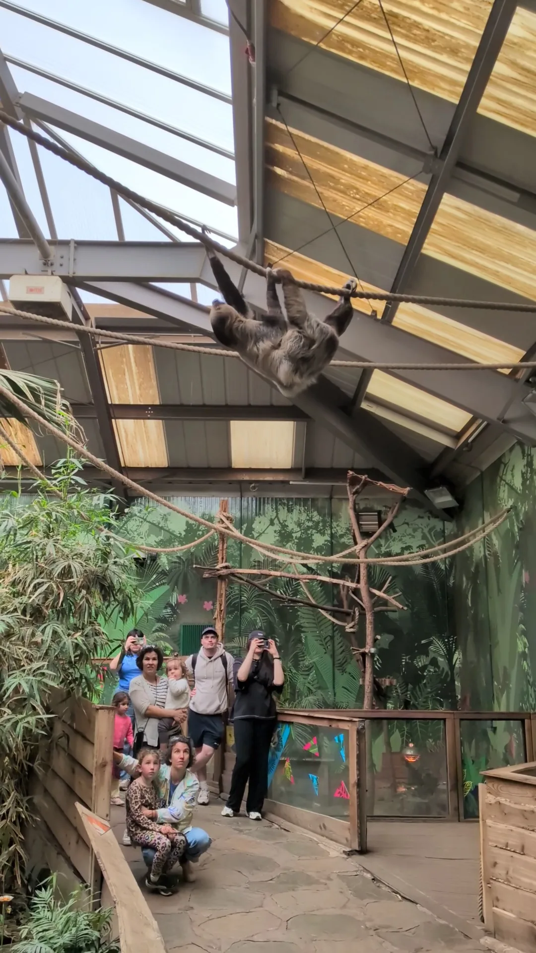 Main view at Edinburgh Zoo Edinburgh — travel photo