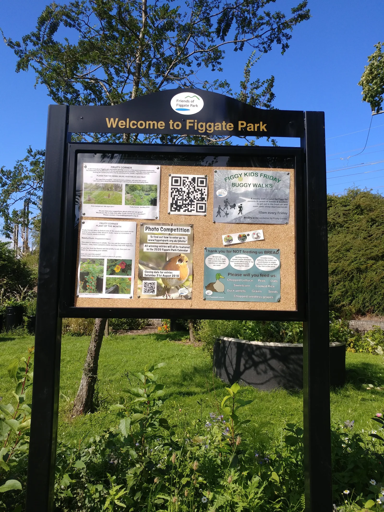 Main view at Figgate Park Edinburgh — travel photo