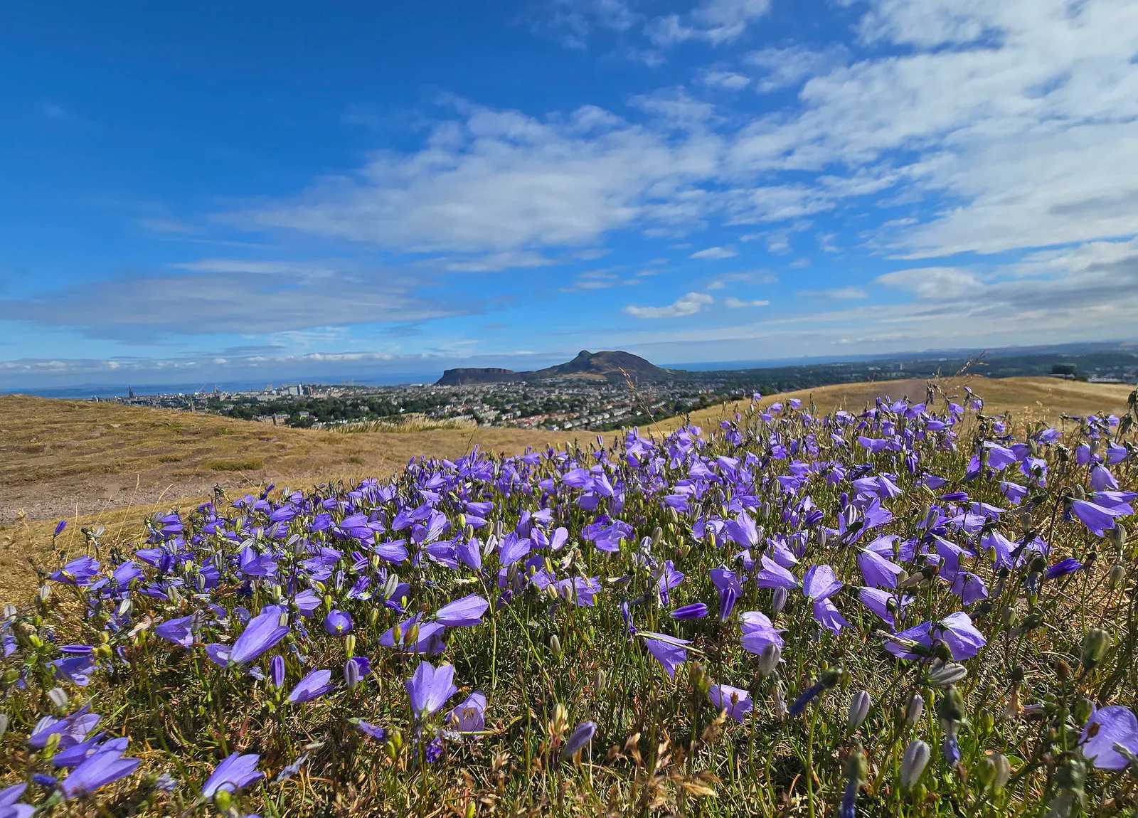 Main view at Hermitage of Braid and Blackford Hill Local Nature Reserve Edinburgh — travel photo