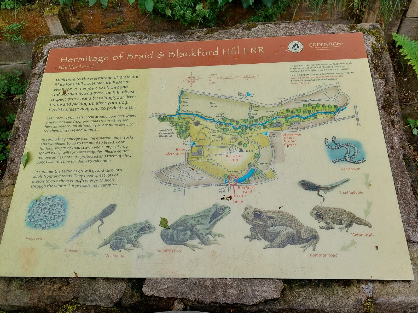 Interior at Hermitage of Braid and Blackford Hill Local Nature Reserve Edinburgh — travel photo