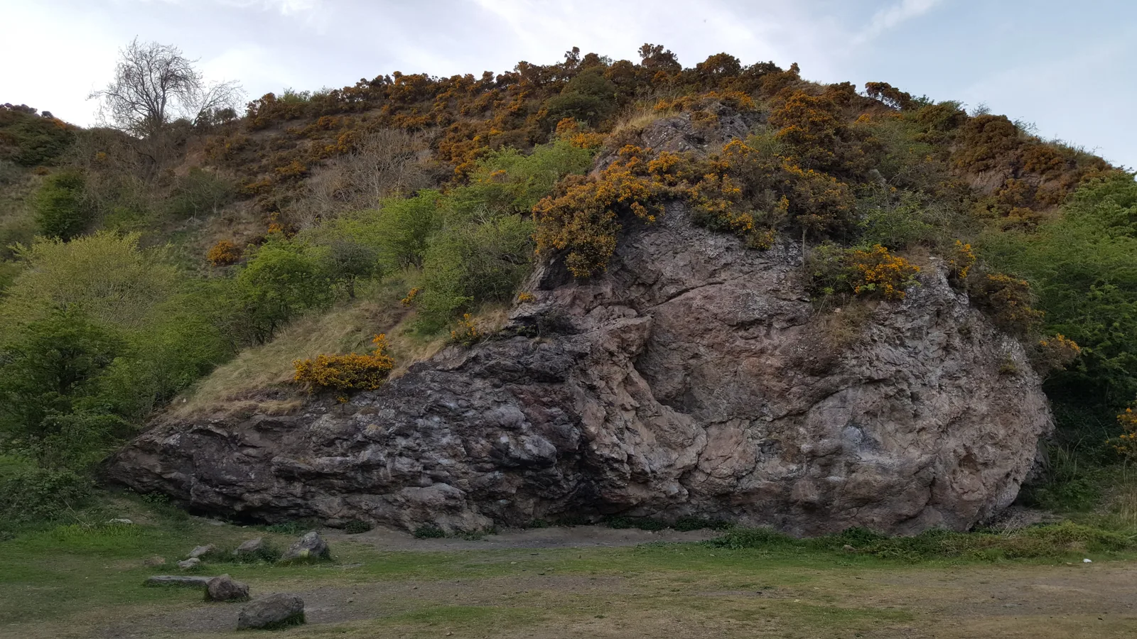 Details at Hermitage of Braid and Blackford Hill Local Nature Reserve Edinburgh — travel photo