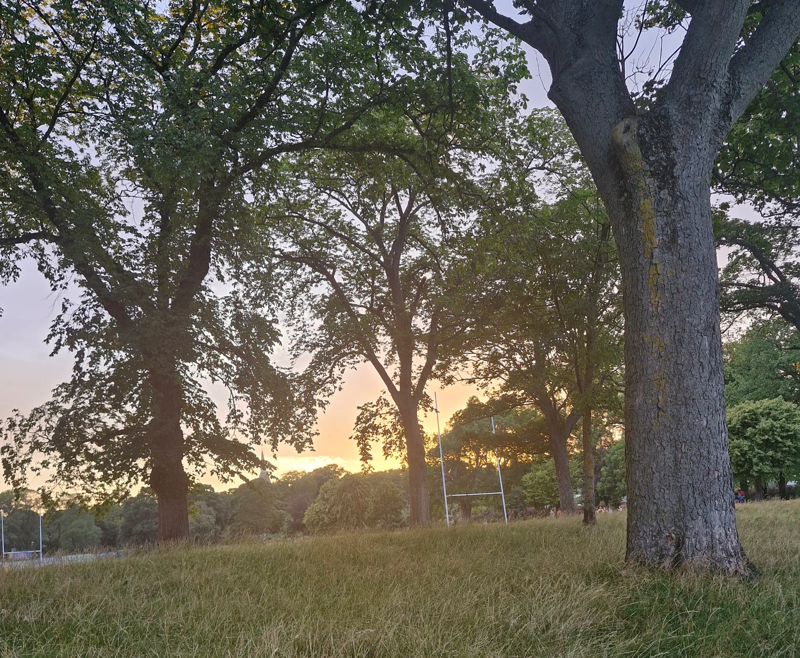 Main view at Inverleith Park Edinburgh — travel photo