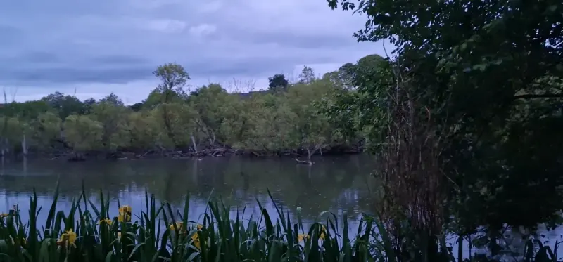Lochend Park