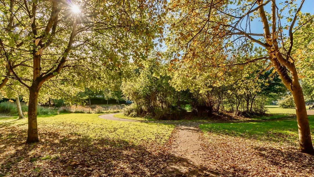 Montgomery Street Park