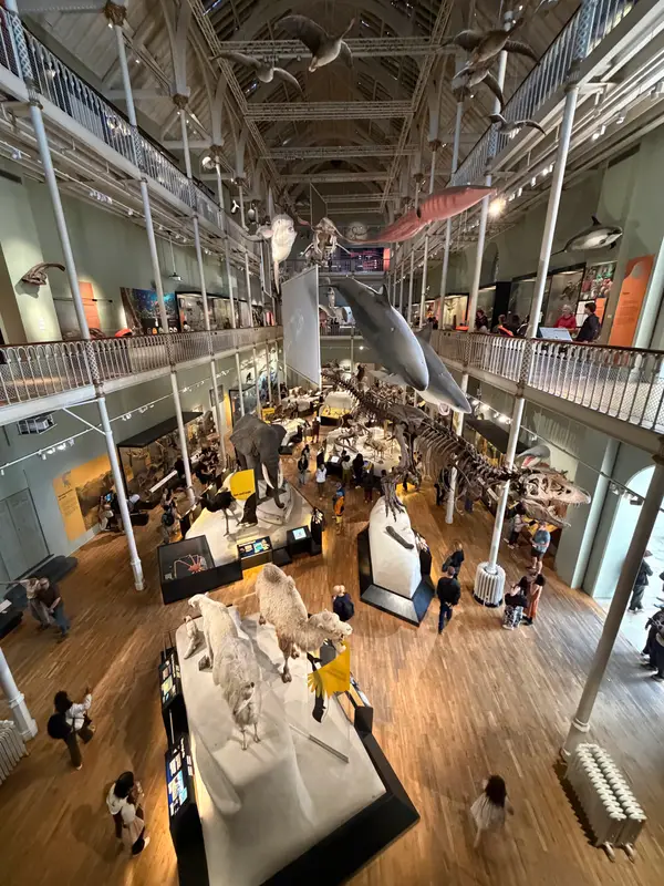 Interior at National Museum of Scotland Edinburgh — travel photo