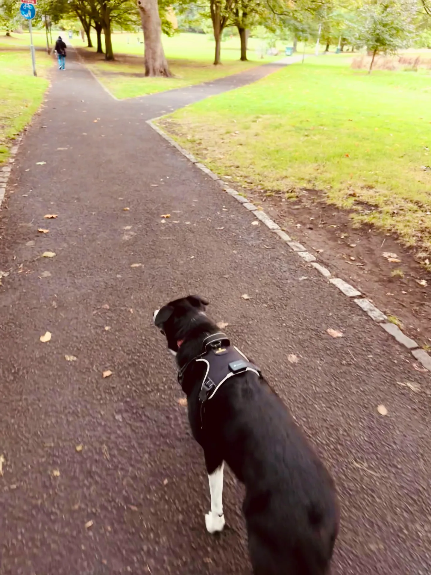 Main view at Pilrig Park Edinburgh — travel photo