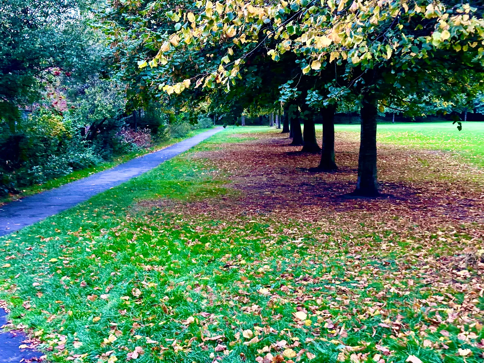 Interior at Pilrig Park Edinburgh — travel photo