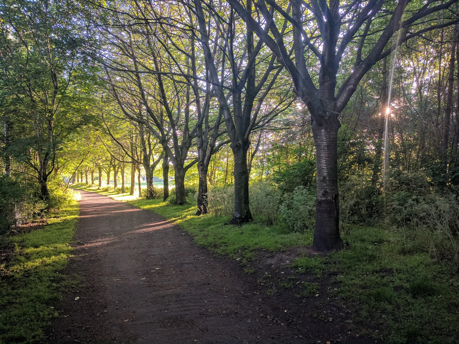 St Marks Park β budget guide Edinburgh