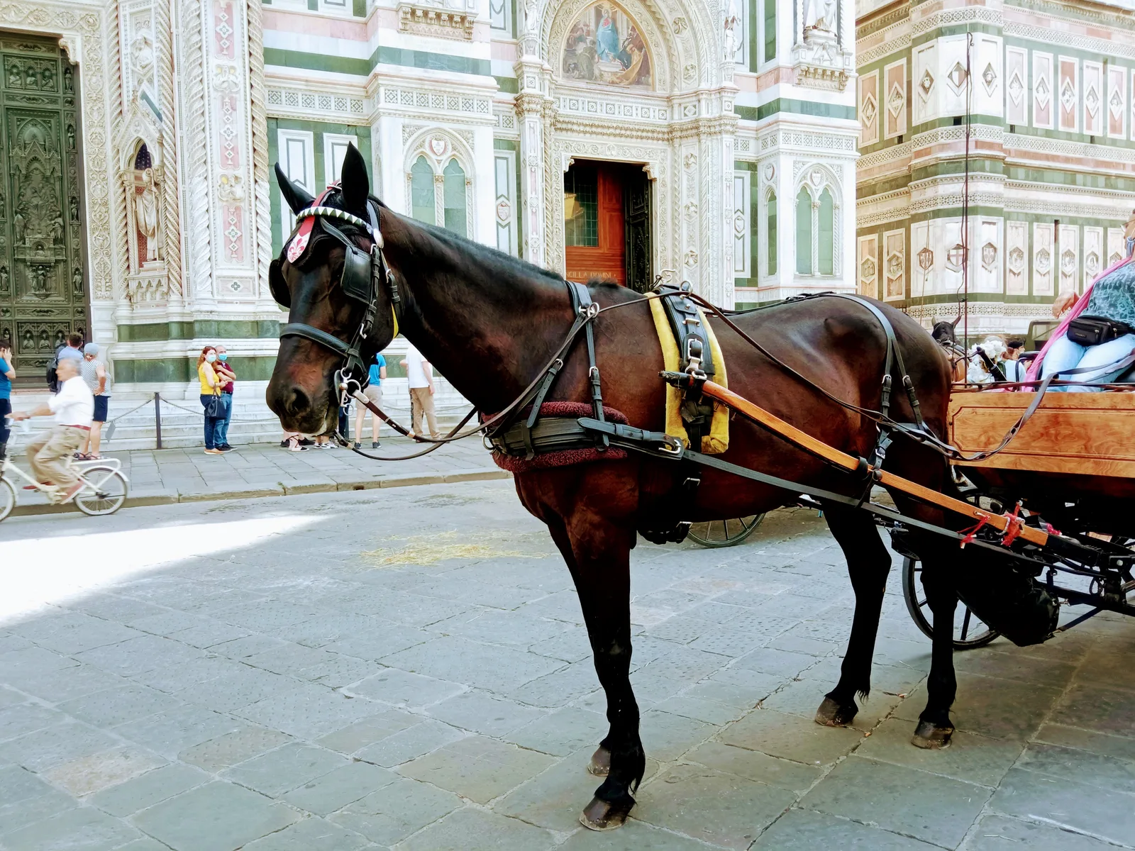 Details at Cathedral of Santa Maria del Fiore Florence — travel photo