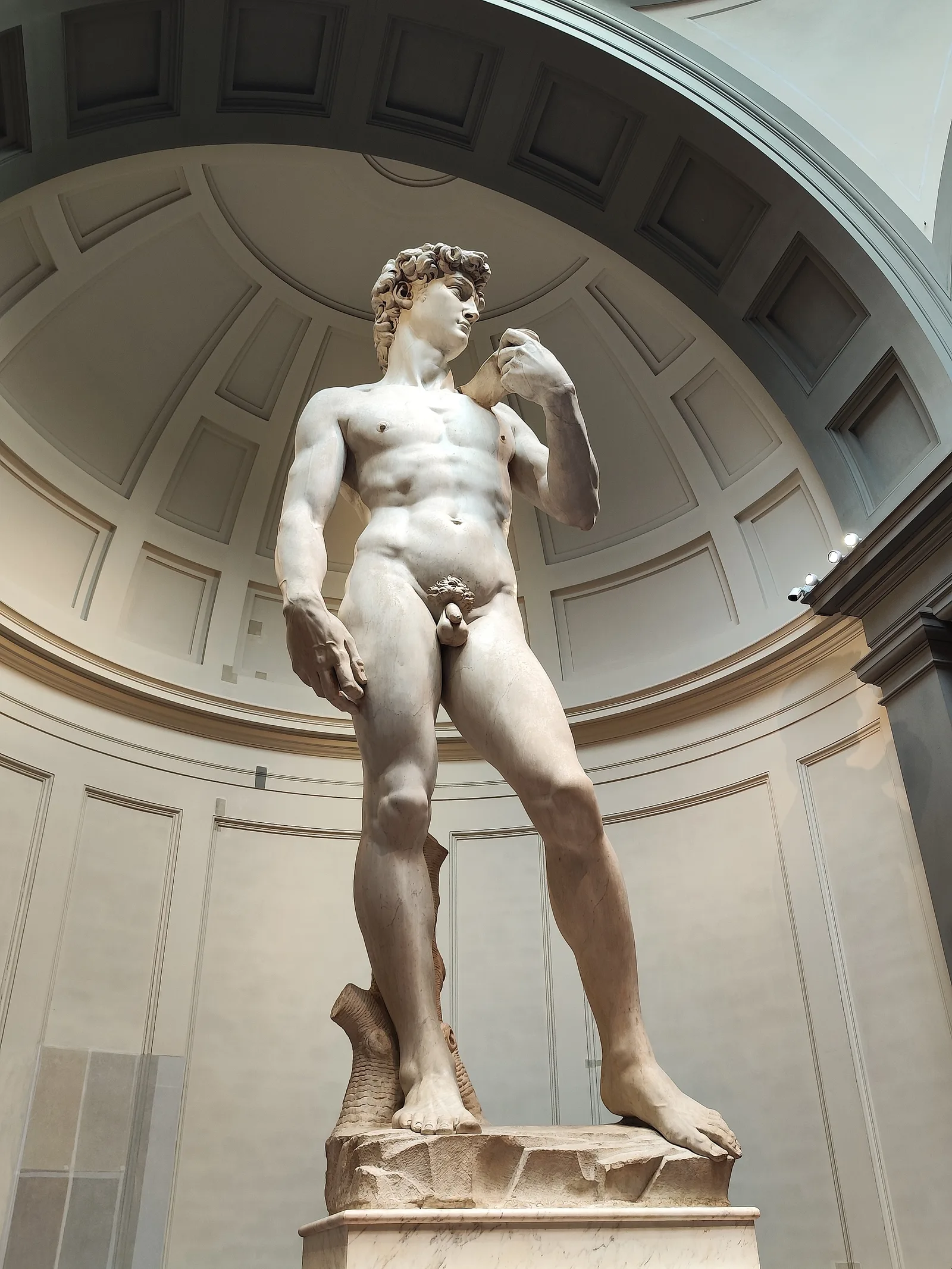 David — budget guide Florence